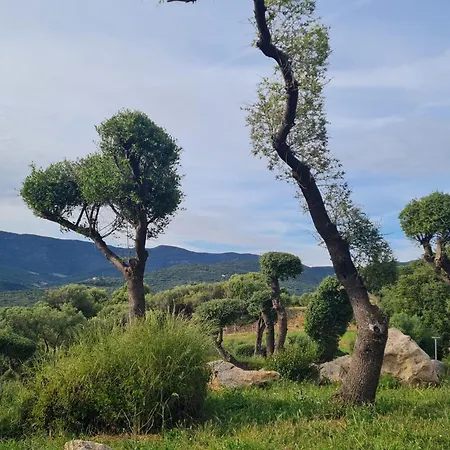 Climatise Dans Avec Piscine A Pied Lägenhet Serra-di-Ferro (Corsica)