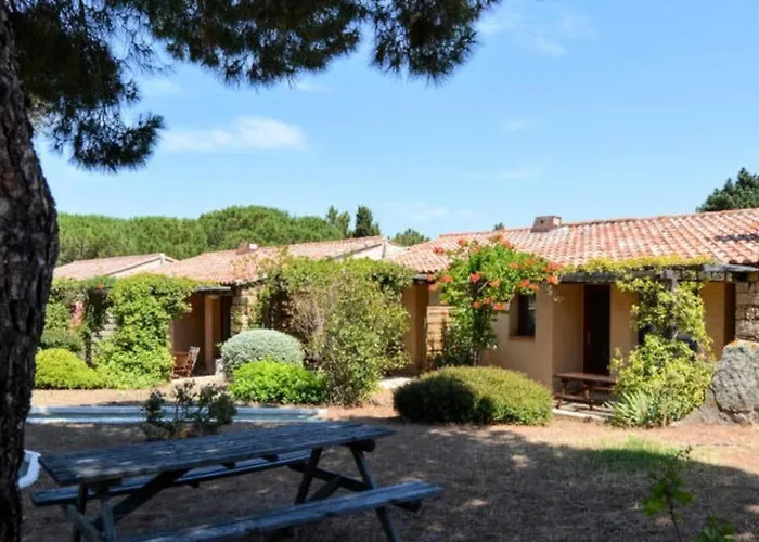 Climatise Dans Avec Piscine A Pied Apartment *