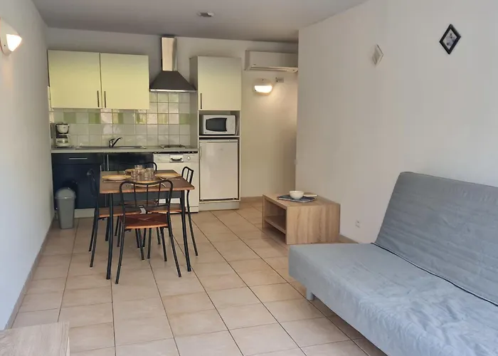 Climatise Dans Avec Piscine A Pied Apartment