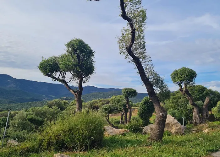 Climatisé Dans Résidence Avec Piscine à Pied Appartamento Serra di Ferro
